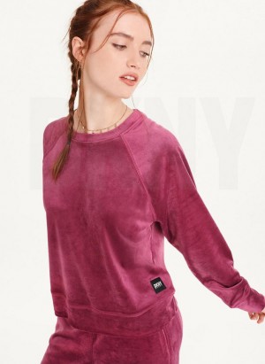 DKNY Platinum Velour Pullover Sweatshirts Damen Lila | Austria_D1275